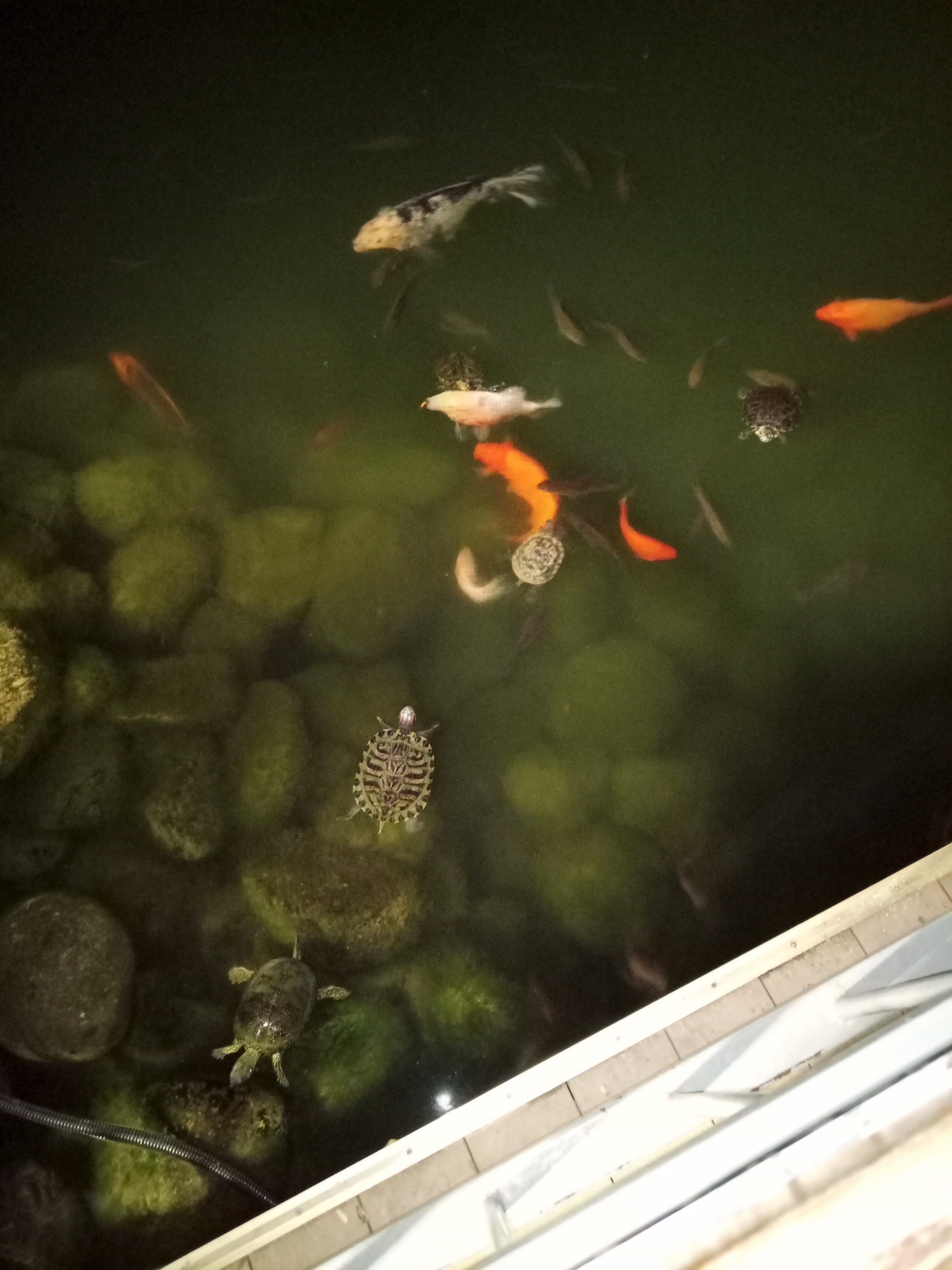 Фото Евразия-Аксай