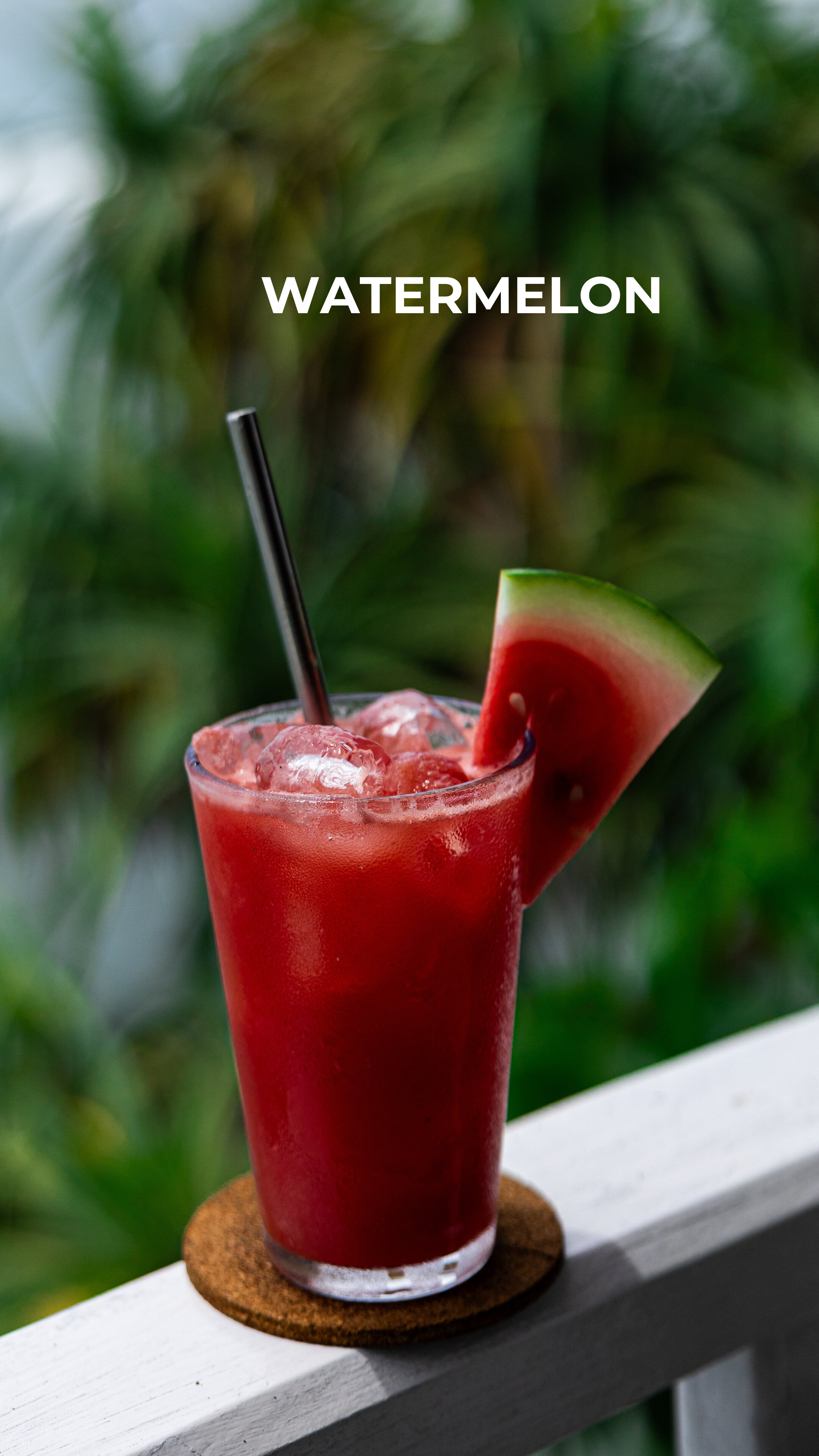 Фото We Are Surfers