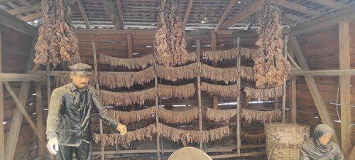 Reviews of Bafra Tobacco Museum, Samsun, Bafra, Kızılırmak Mah., Kaymakam  Sok., 1/1 — Yandex Maps
