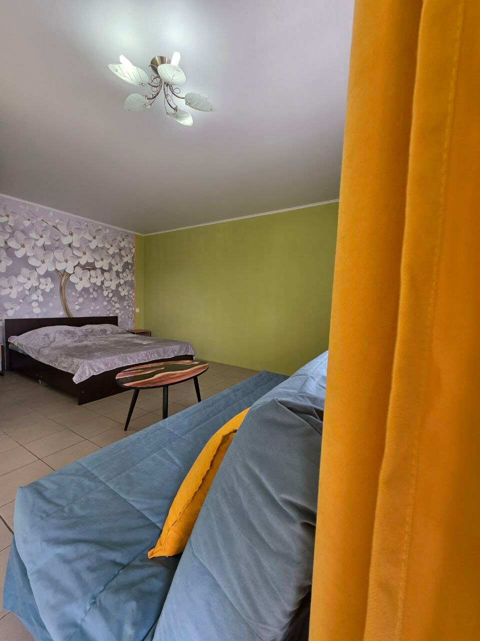 Фото Абрикос