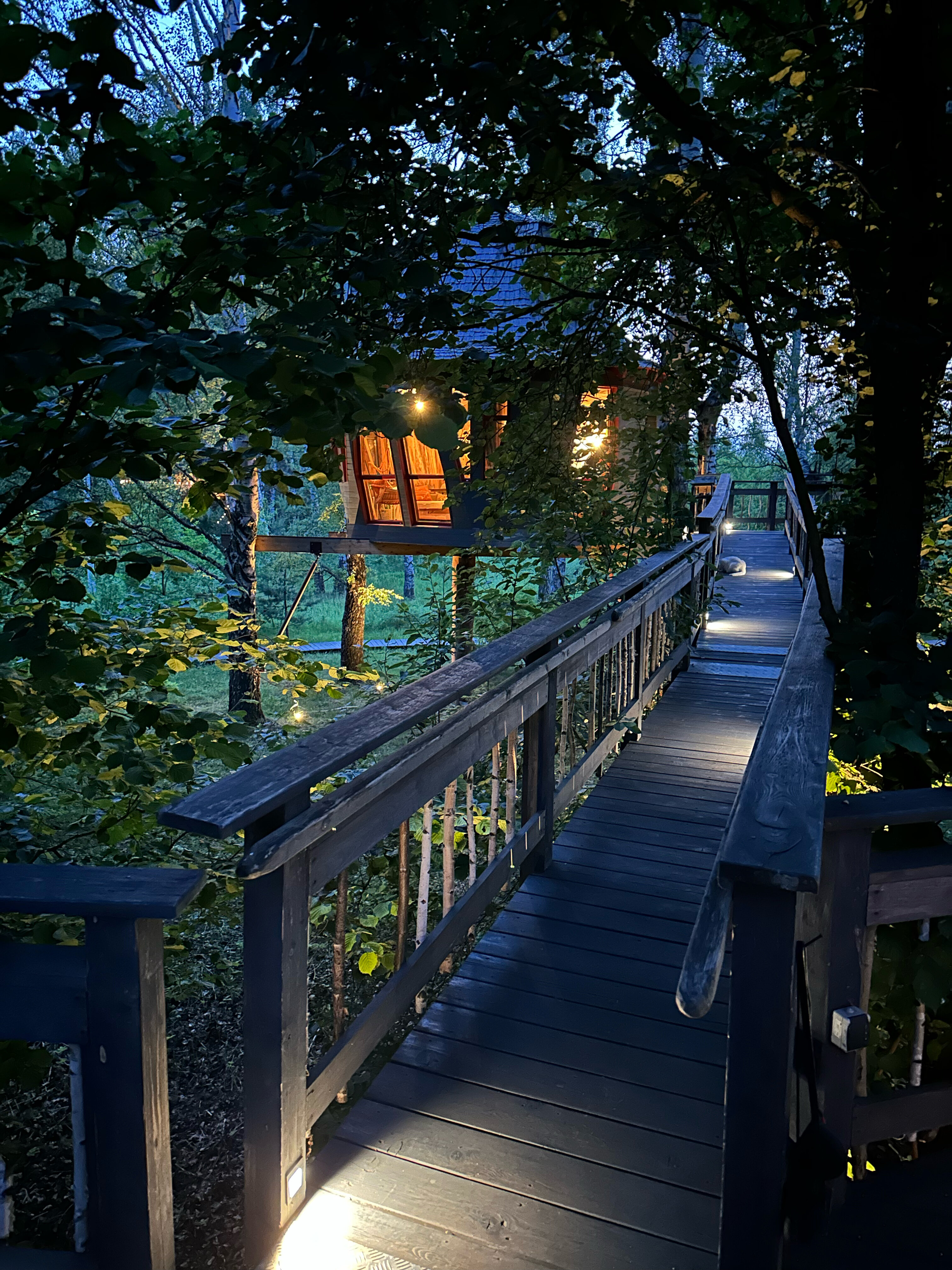 Фото Лапочкино гнездо Дома на деревьях