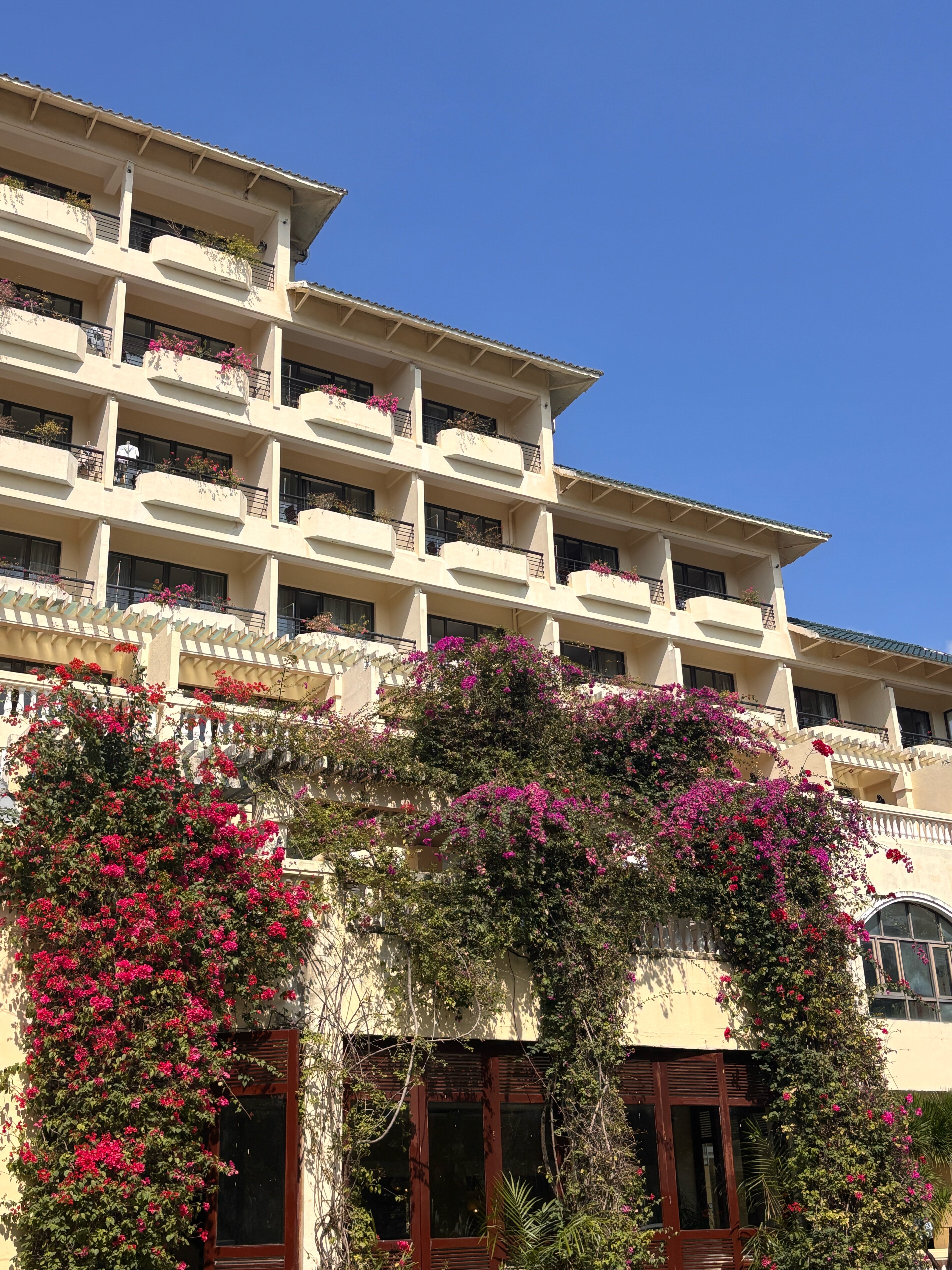 Фото Palm Beach Resort & SPA