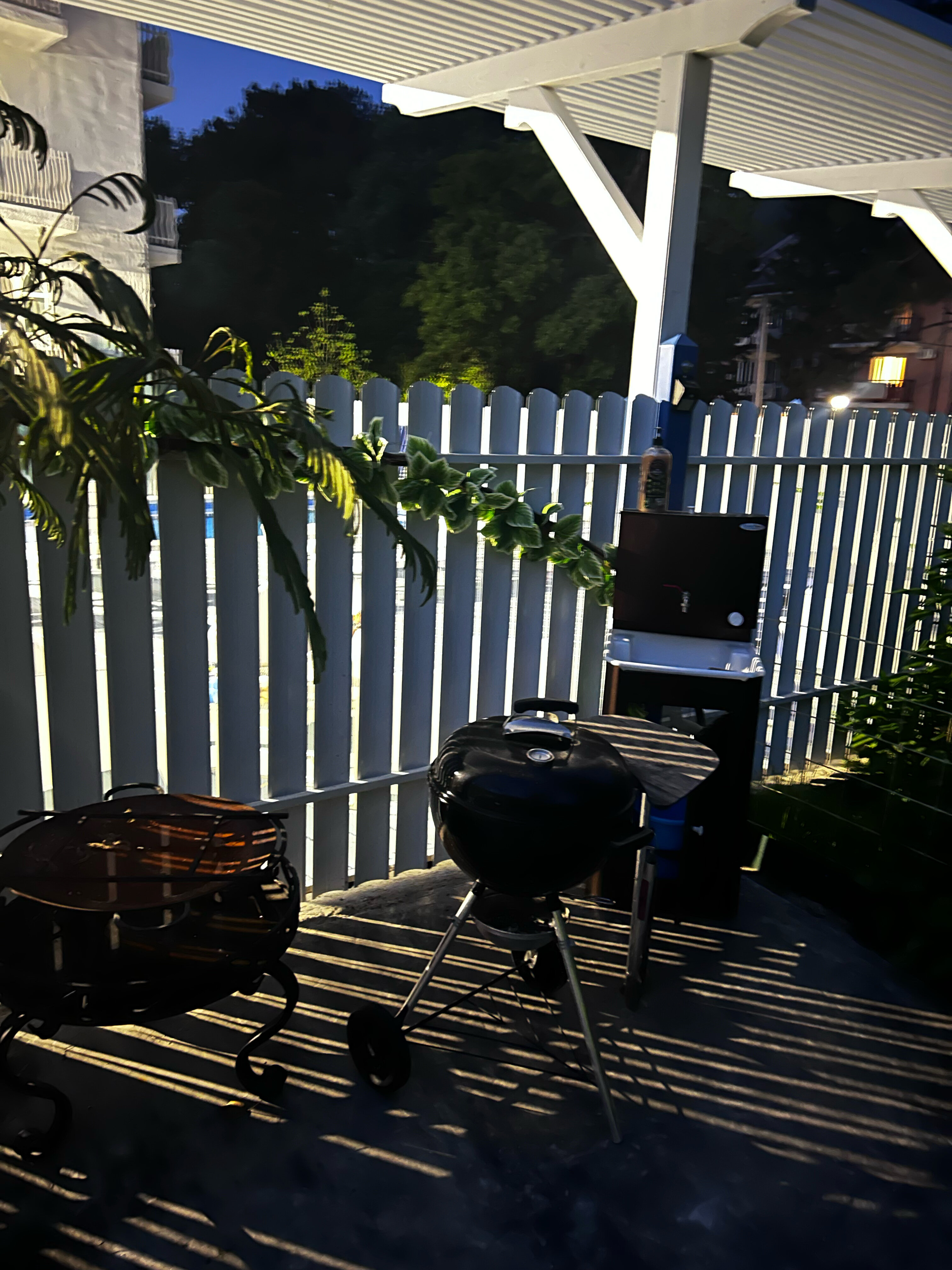 Фото Алиса, привет!