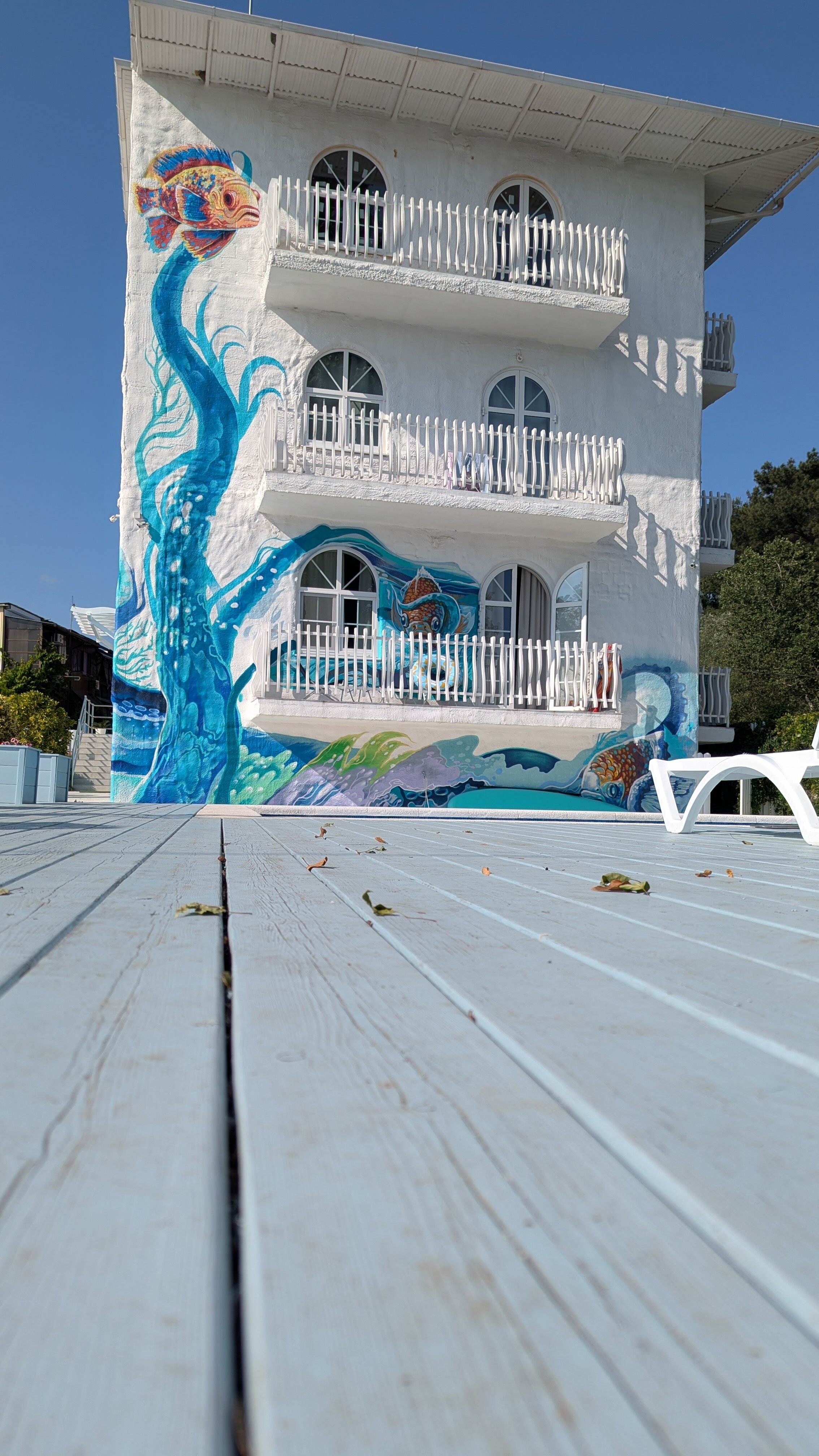 Фото Алиса, привет!