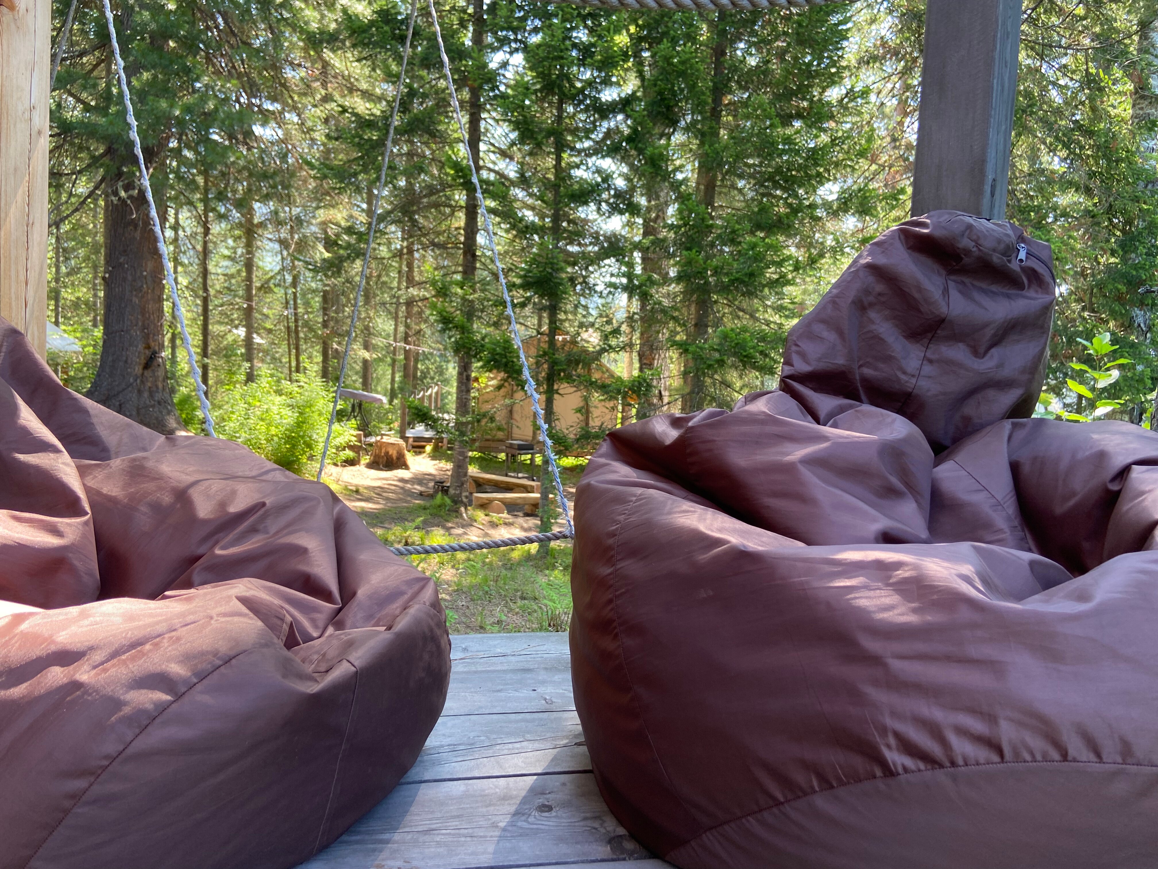 Фото Кедровая берлога