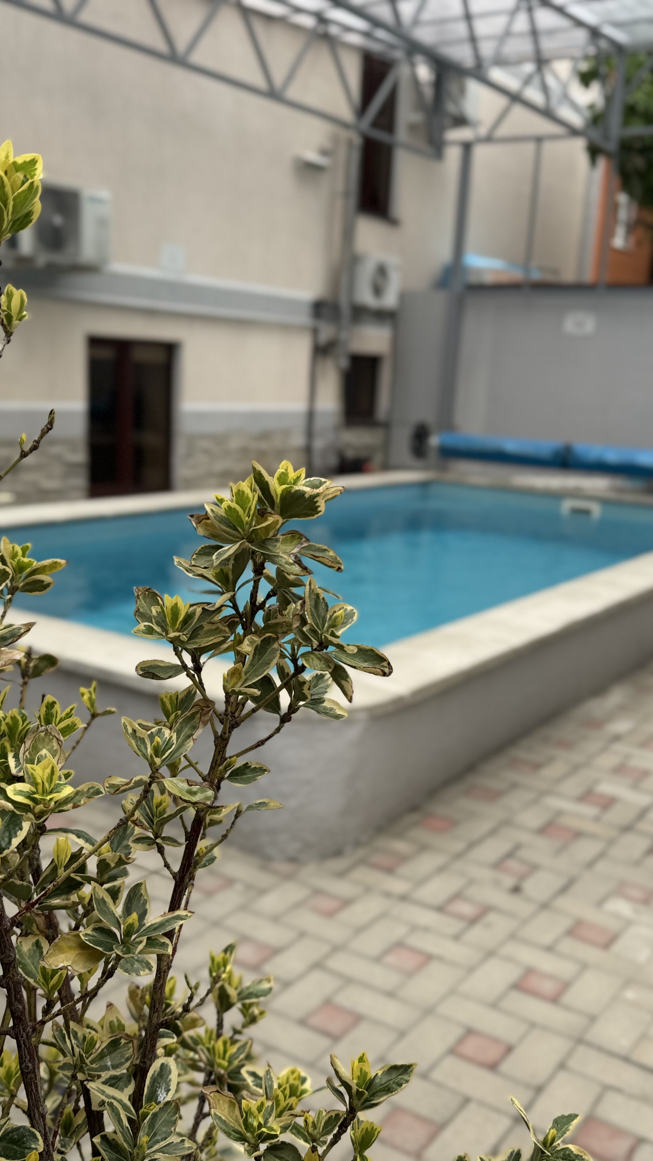 Фото Гостевой дом Дальний Восток