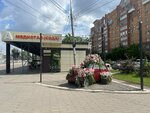 Flowery Salon (Molokova Street, 3/1), flower shop