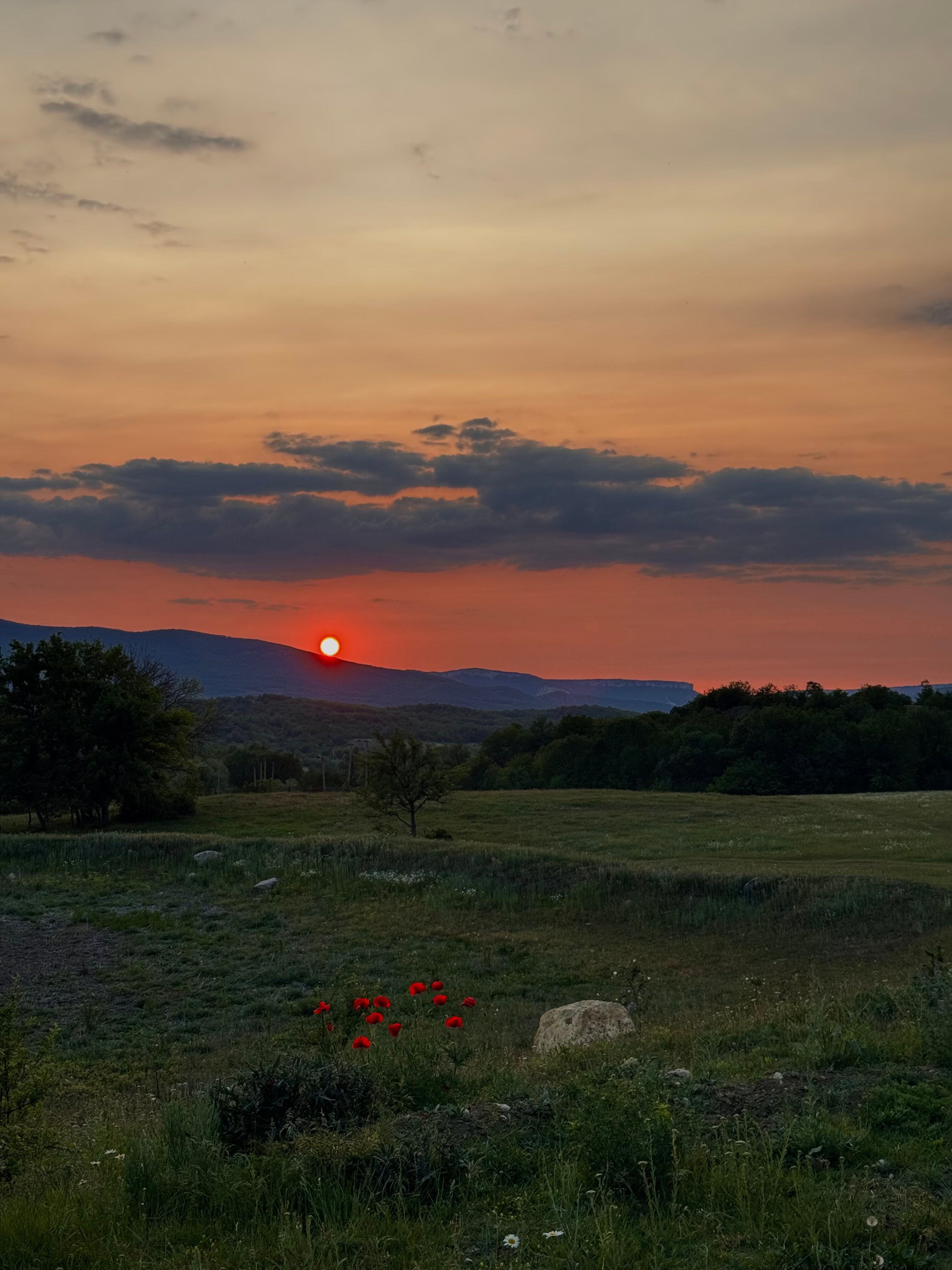 Фото HayalGuestHome