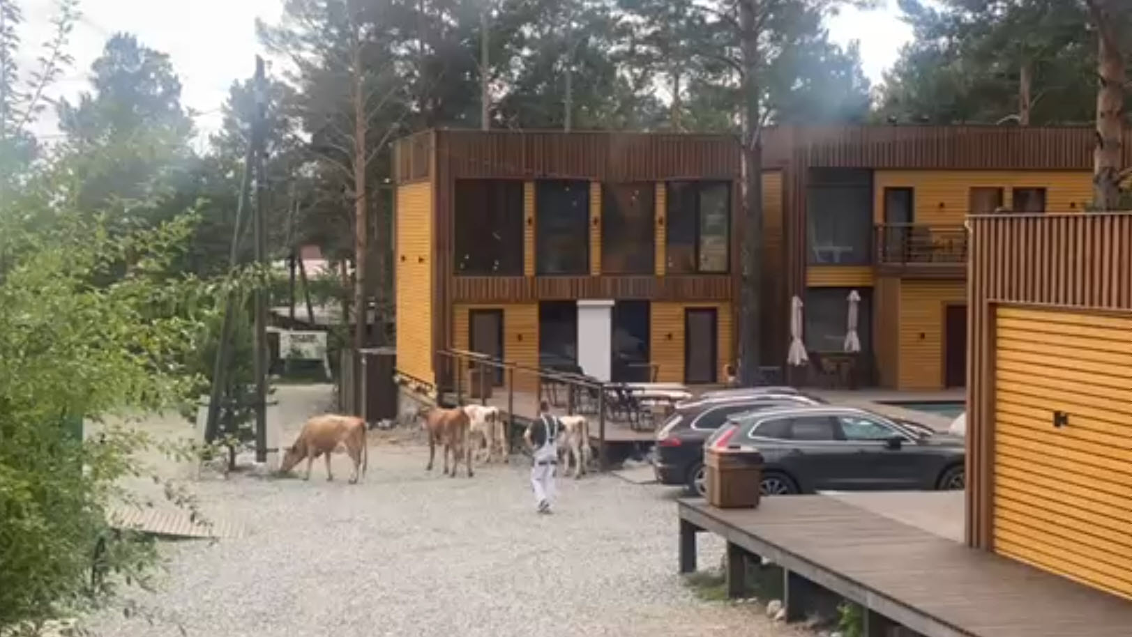 Фото Вилла Малина