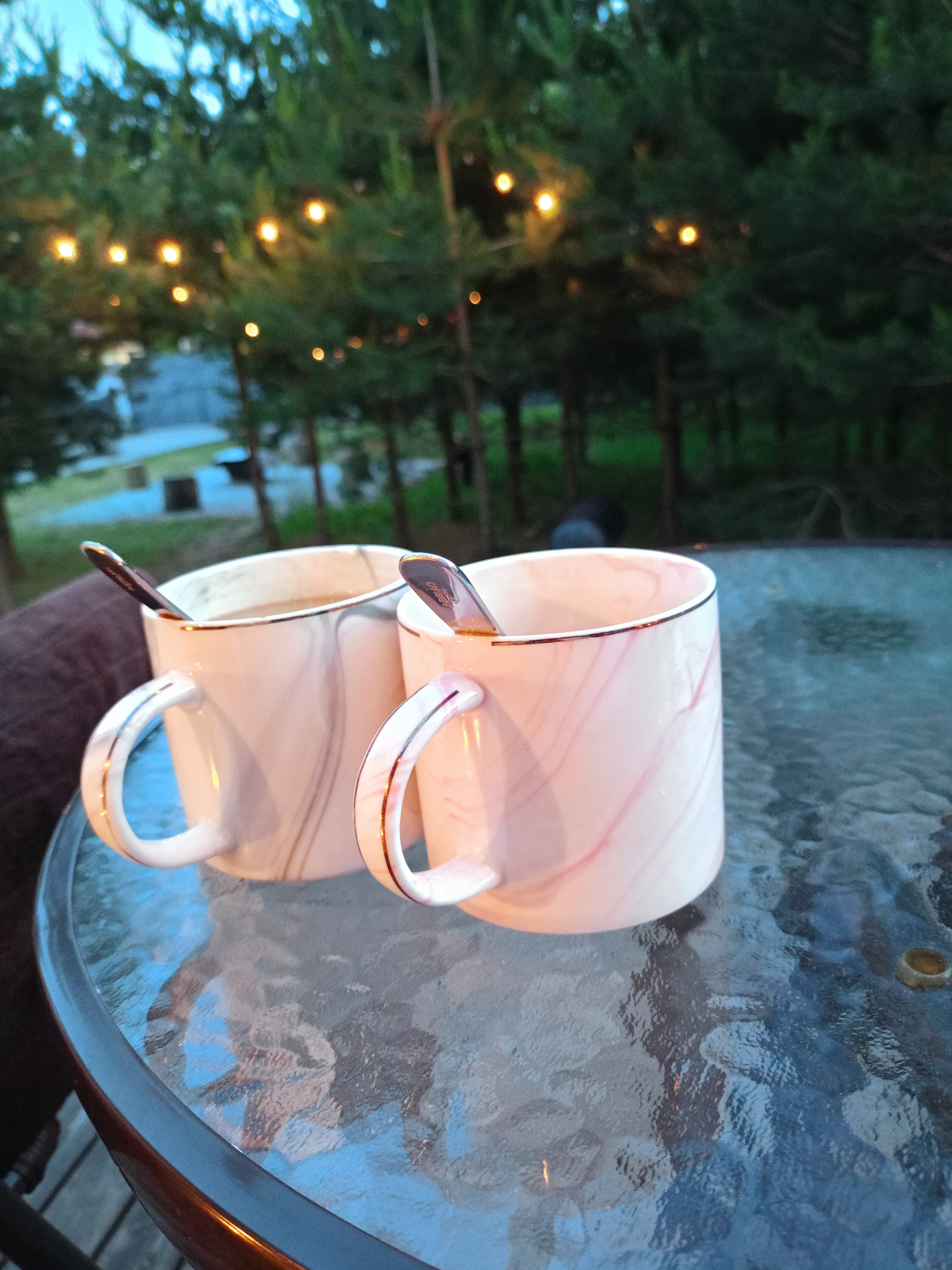 Фото Forest camp