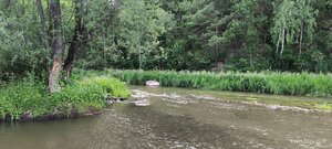 Алёнушкин камень (Tomsk Region, Bolshaya Kirgizka River), atracción