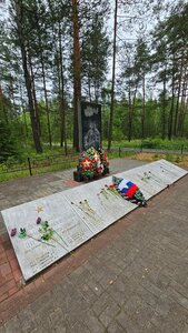Захоронения военнослужащих РККА, умерших в эвакуационном госпитале в годы Второй Мировой войны. (Nizhniy Novgorod Region, Volodarskiy munitsipalny okrug, Zolinskiy selsovet), landmark, attraction