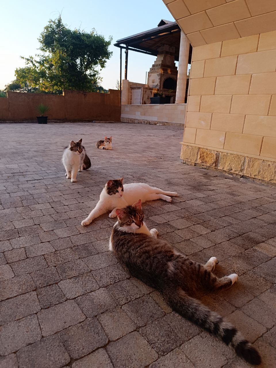 Фото Дольче Вита