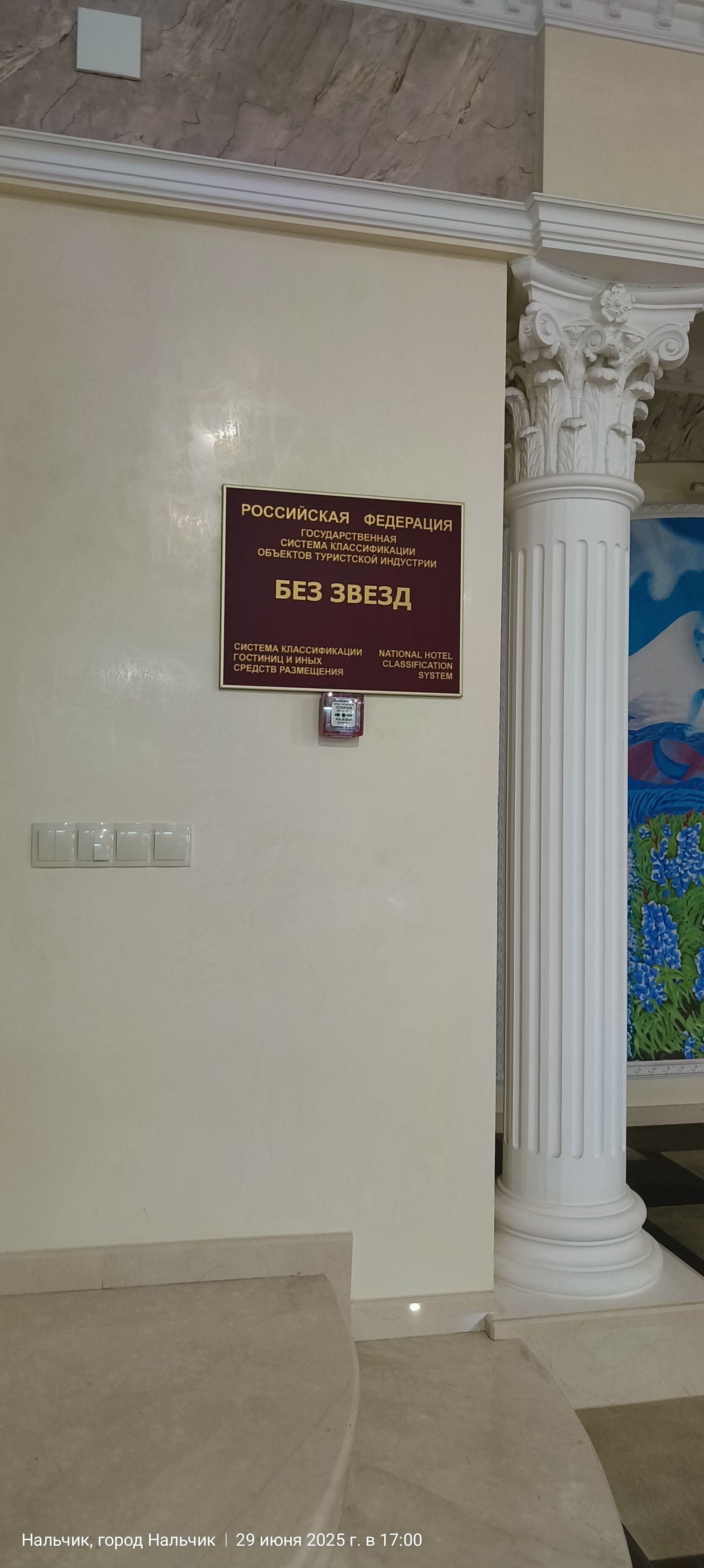 Фото Ореховая роща