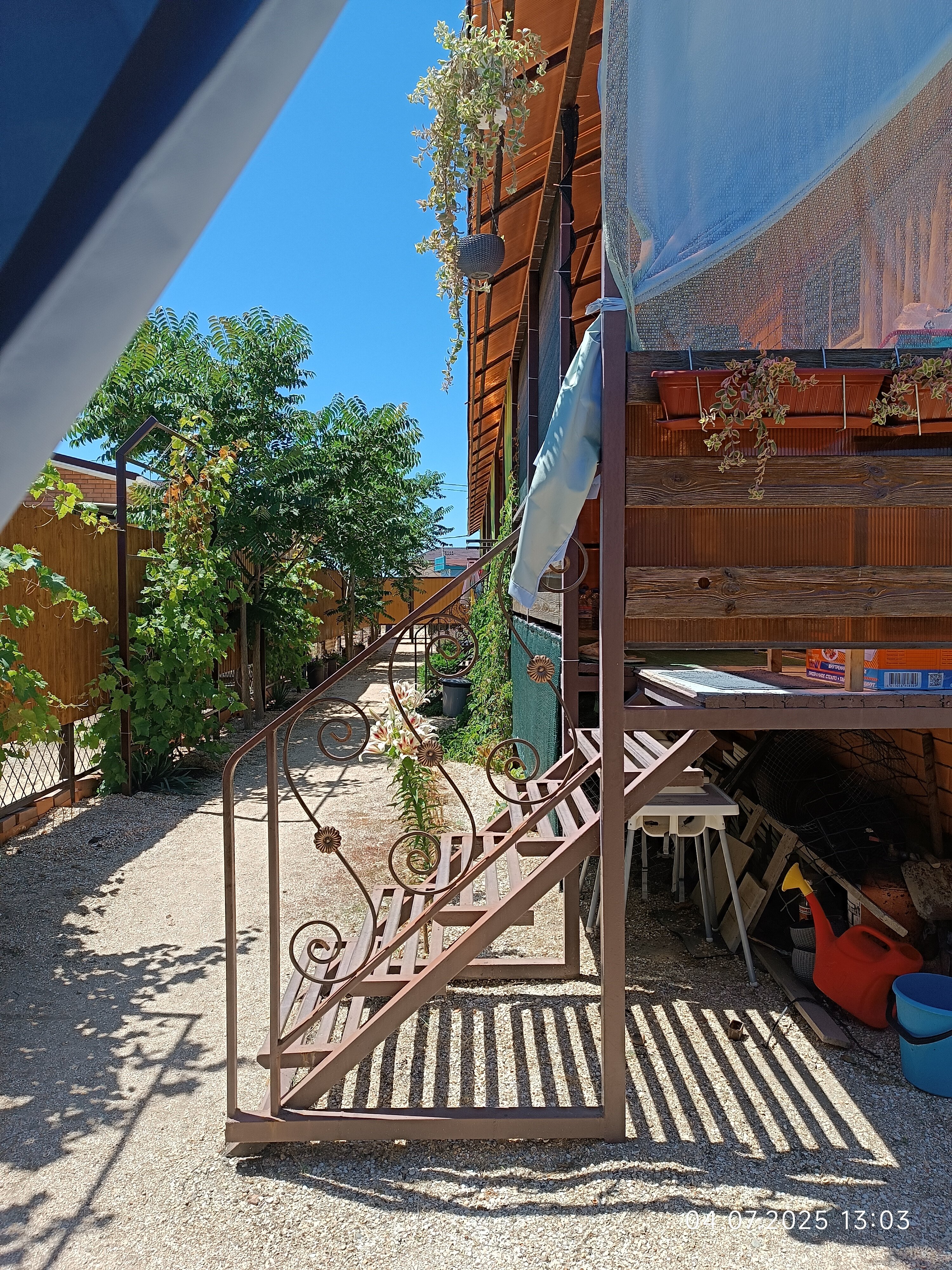 Фото Ковчег