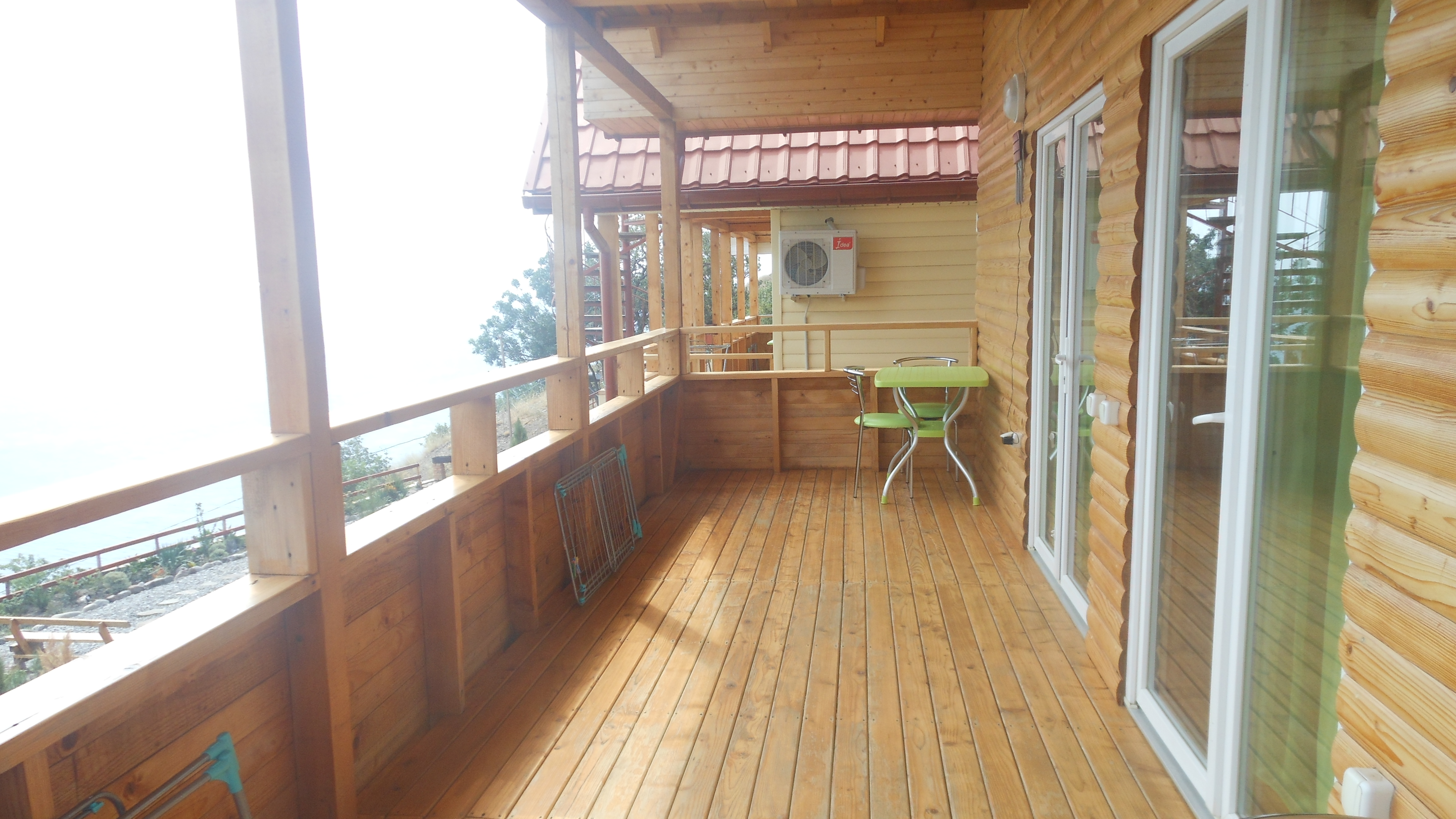 Фото Афалина