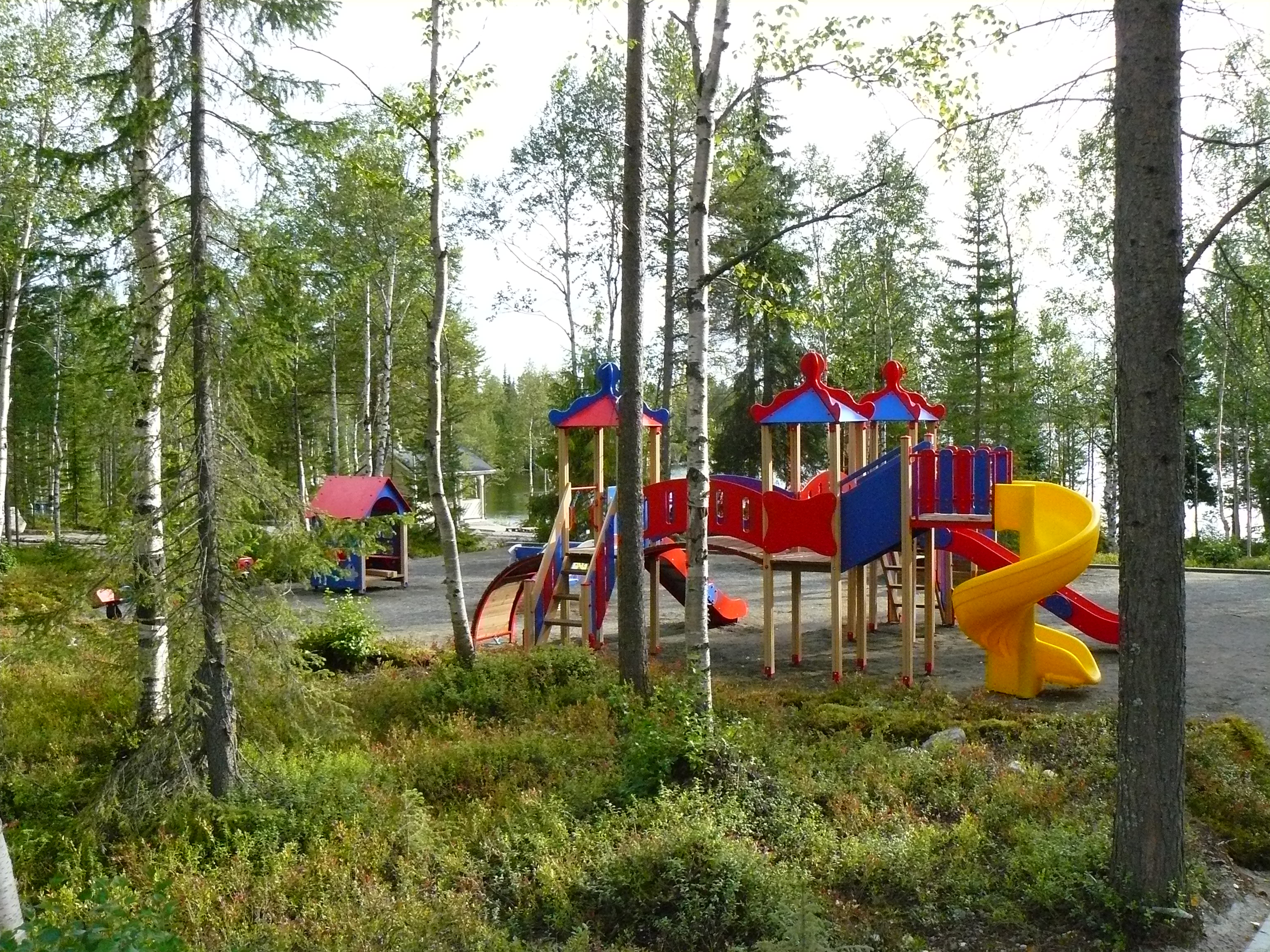 Фото Лесная