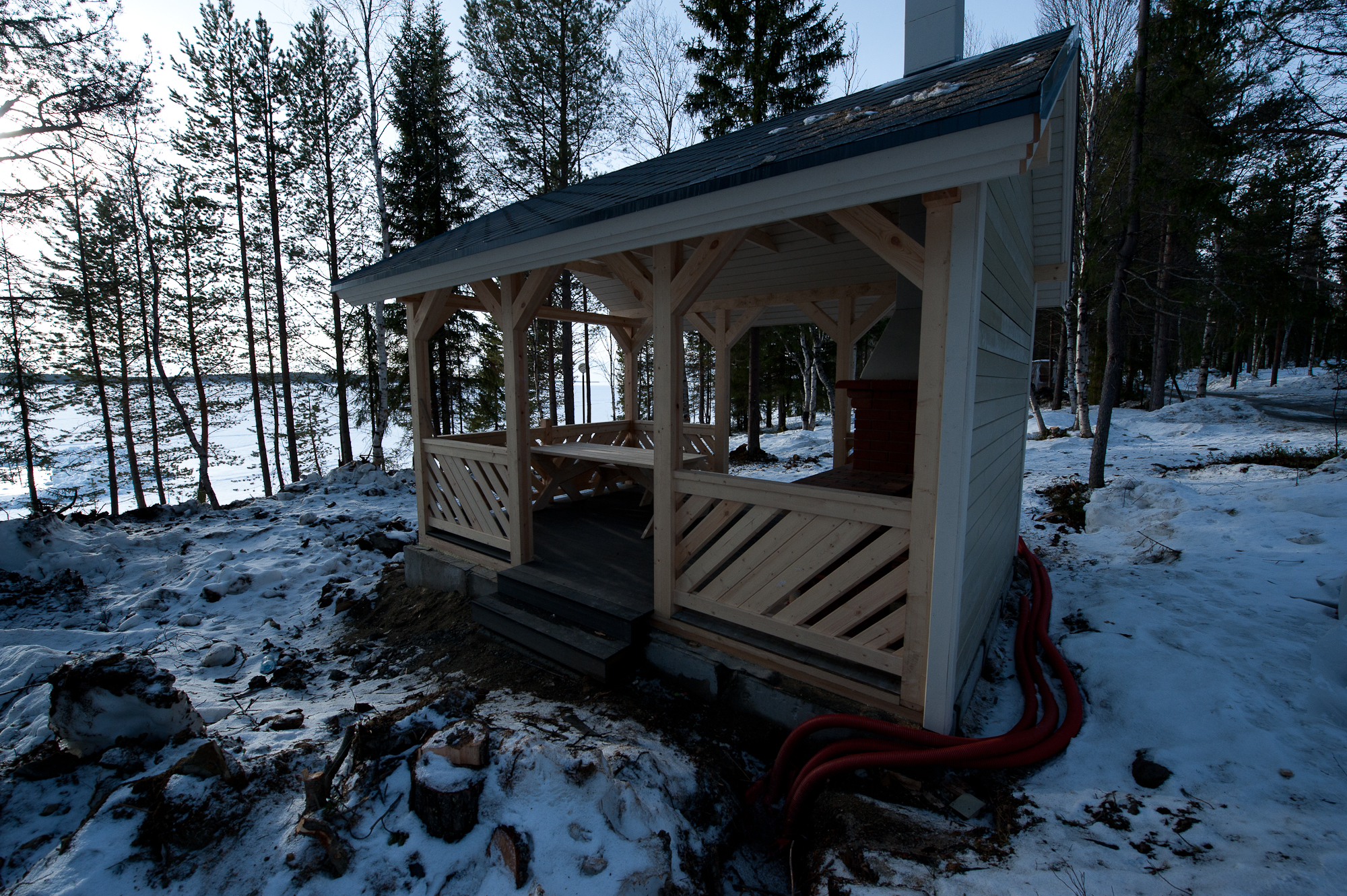 Фото Лесная