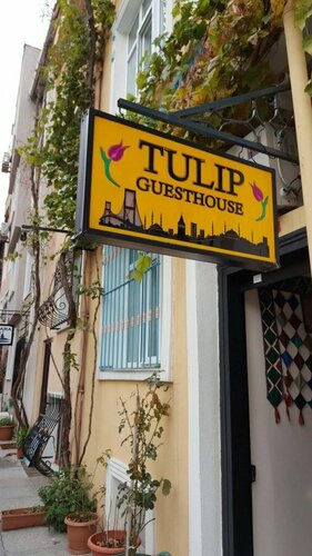 Хостел Tulip Guesthouse в Стамбуле