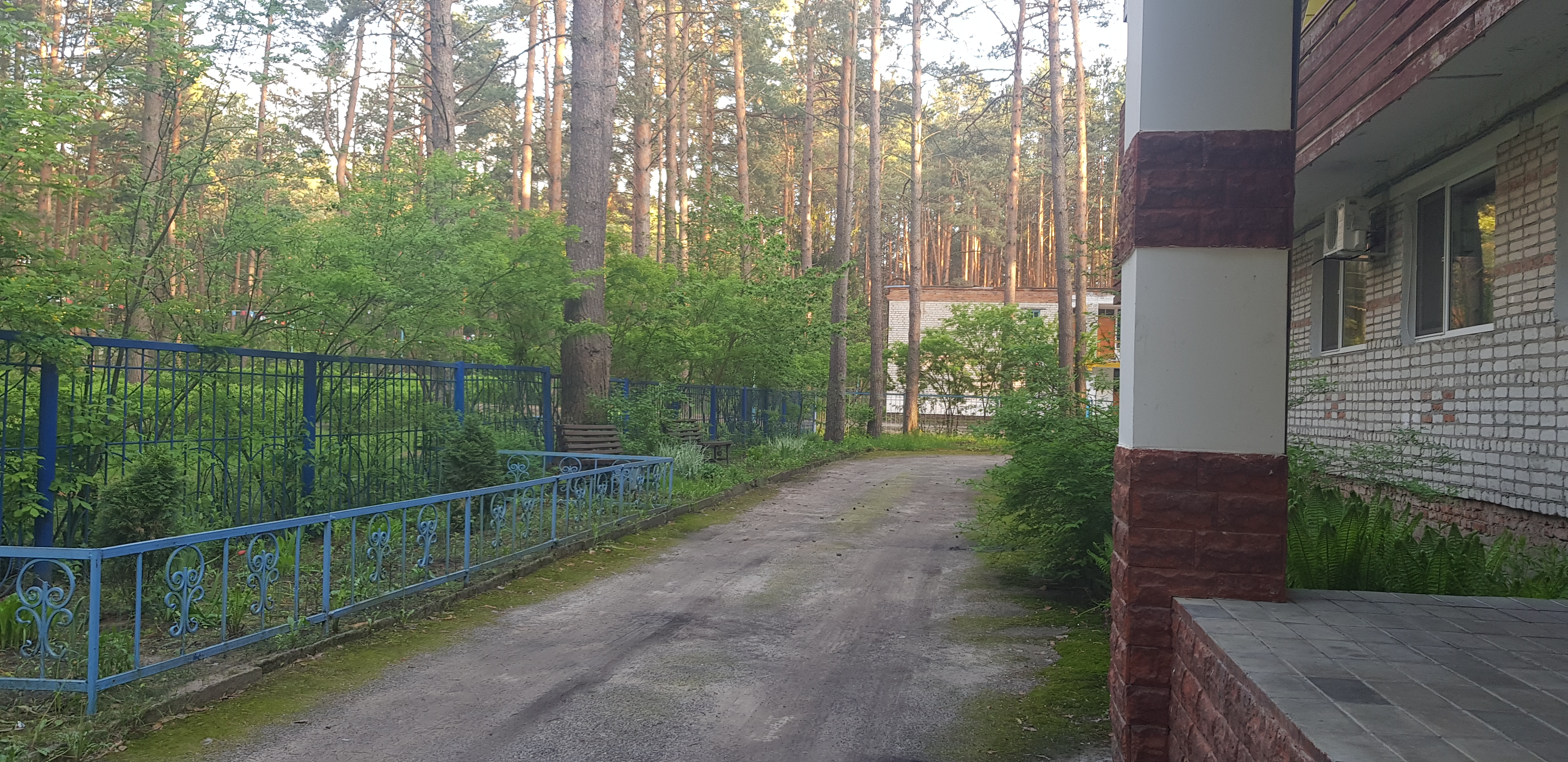 Фото Янтарная