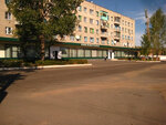 Central Library (ulitsa Krasnykh Zor, 1Б), biblioteca