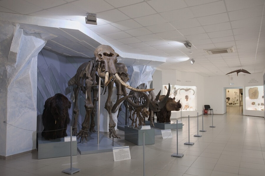Museum Novosibirsk State Museum of Local Lore, a branch of the Museum of Nature, Novosibirsk, photo