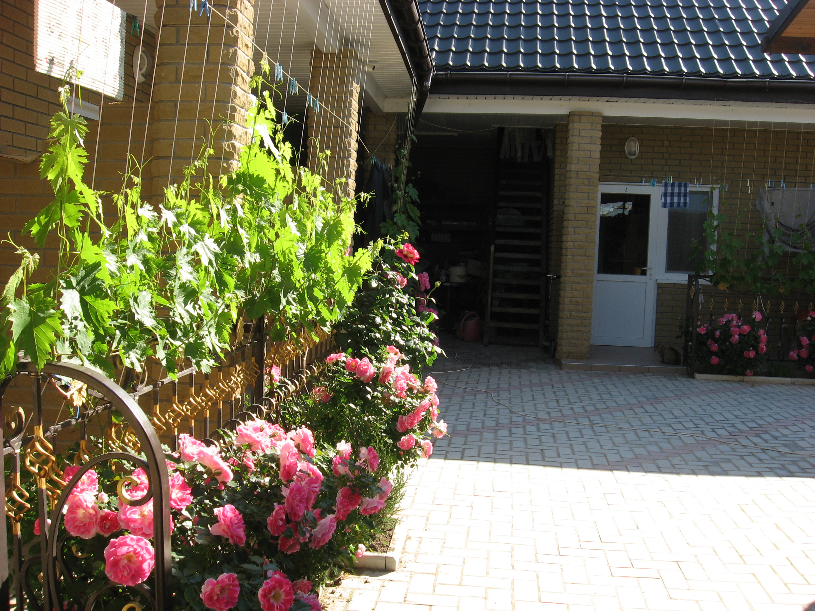 Фото Александрия