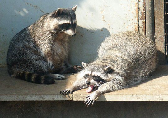 Фото Южный Паркъ