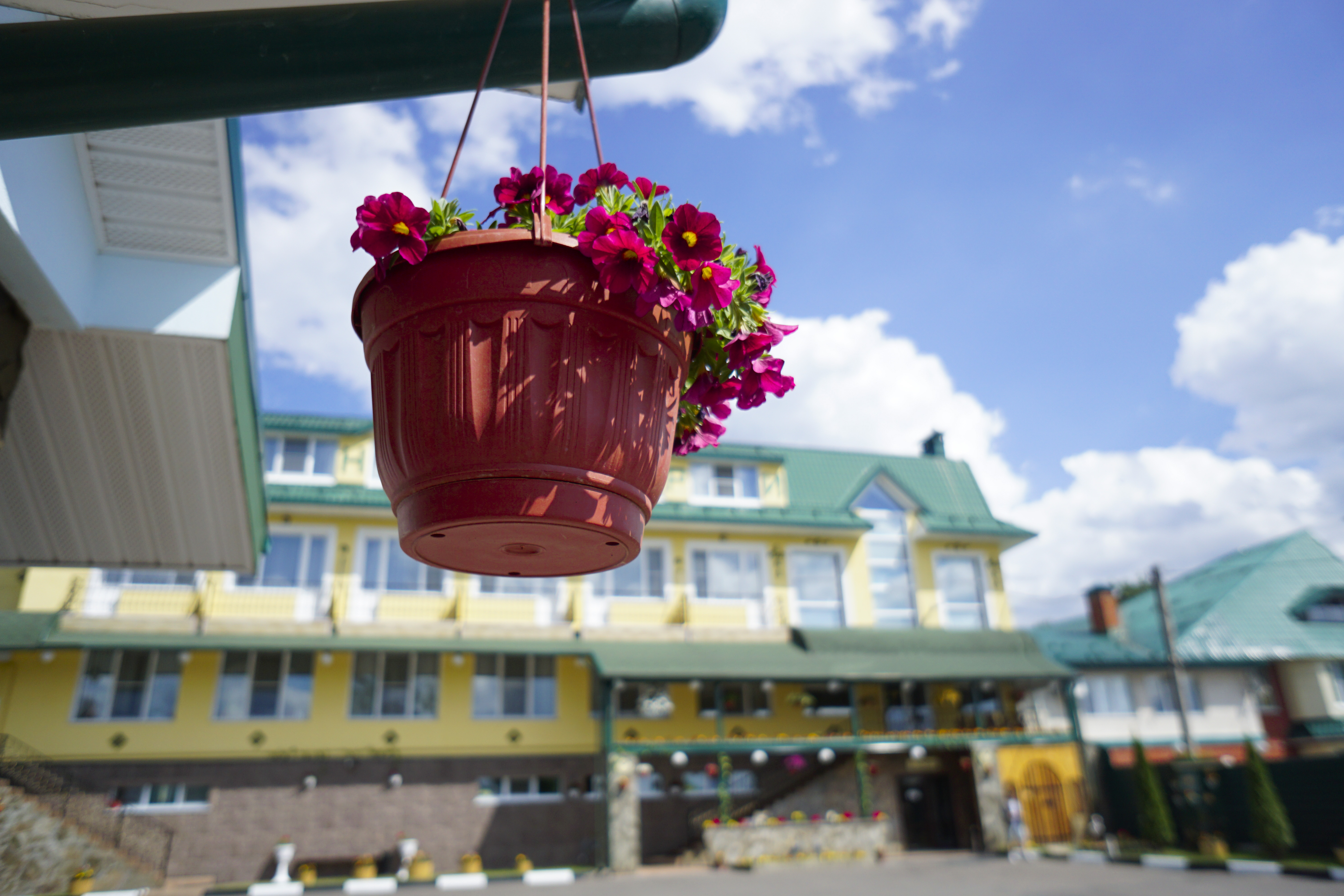 Фото Хантри