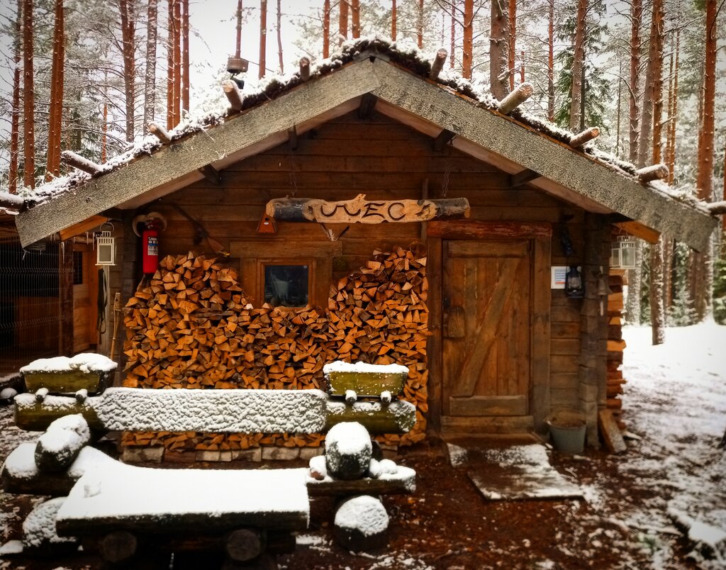 Эко отель в лесу