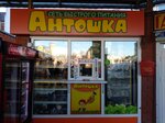 Antoshka (ploshchad Tankistov, 2В) ، كانتين