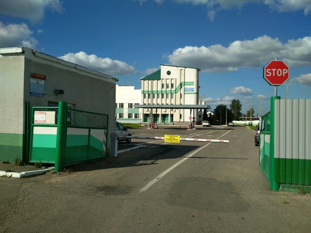 Дэу 31 витебск контакты