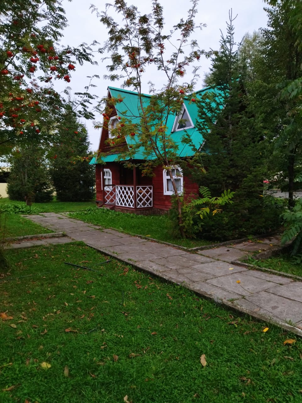 Фото Колибри