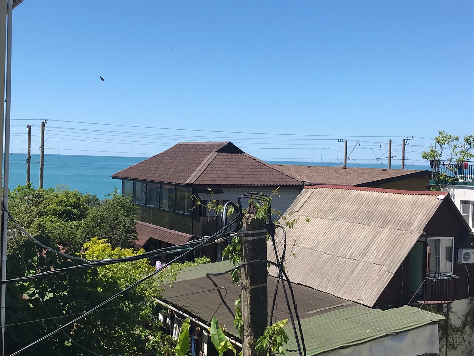 Фото Дом с дельфинами