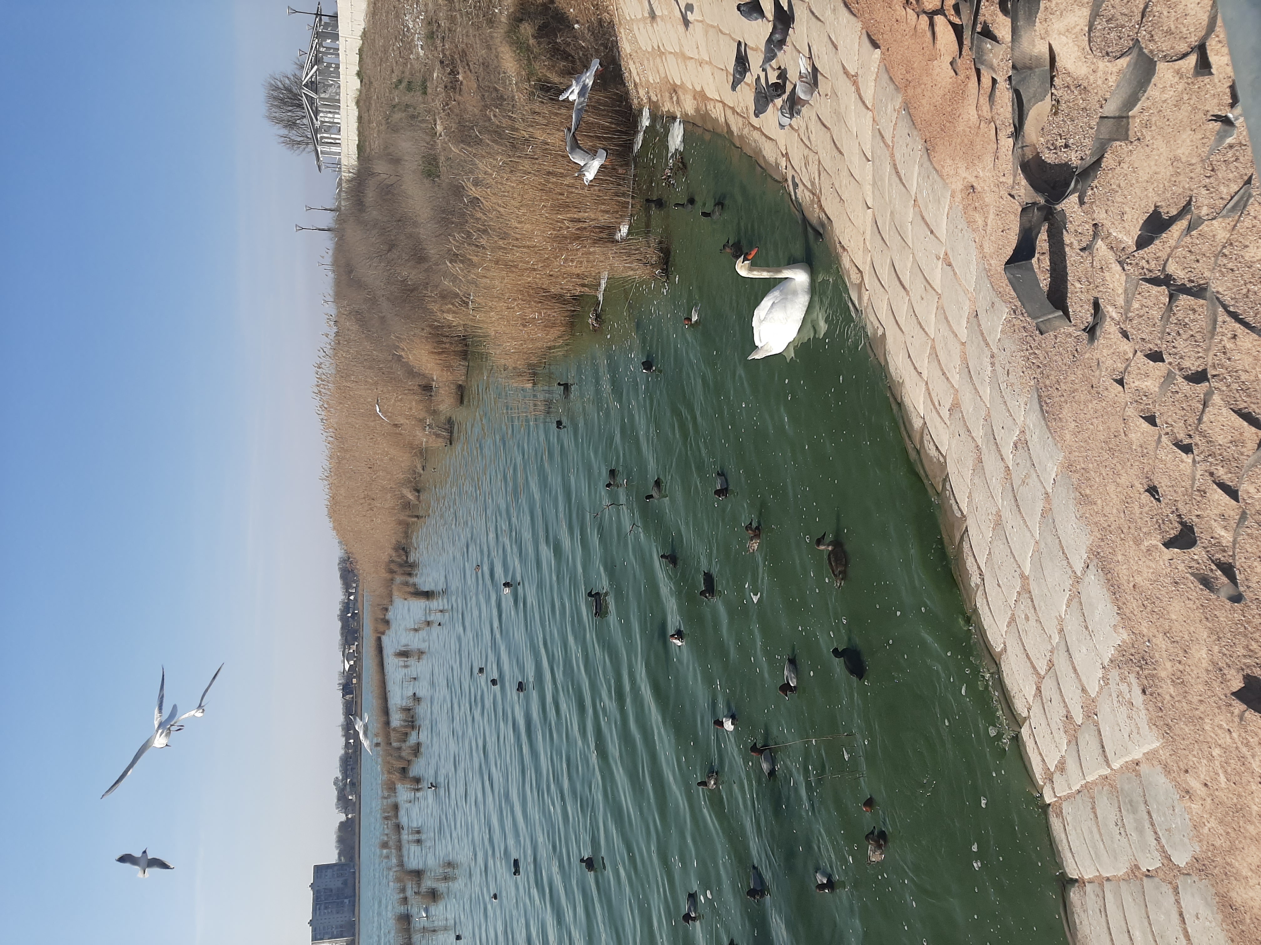 Фото Сакрополь