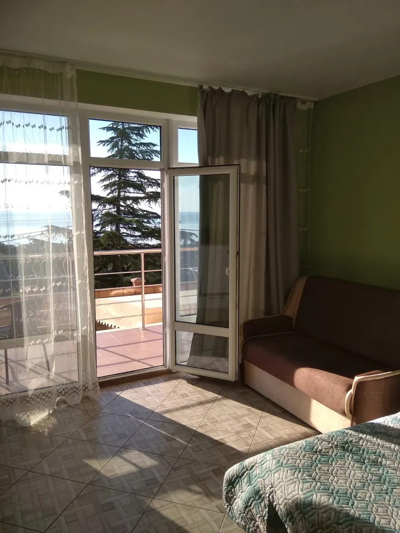 Фото Дельфин