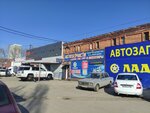 Ладья (Ботаническая ул., 15, Тольятти), магазин автозапчастей и автотоваров в Тольятти