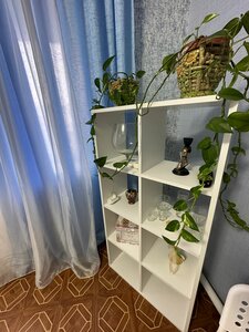 Логово Льва