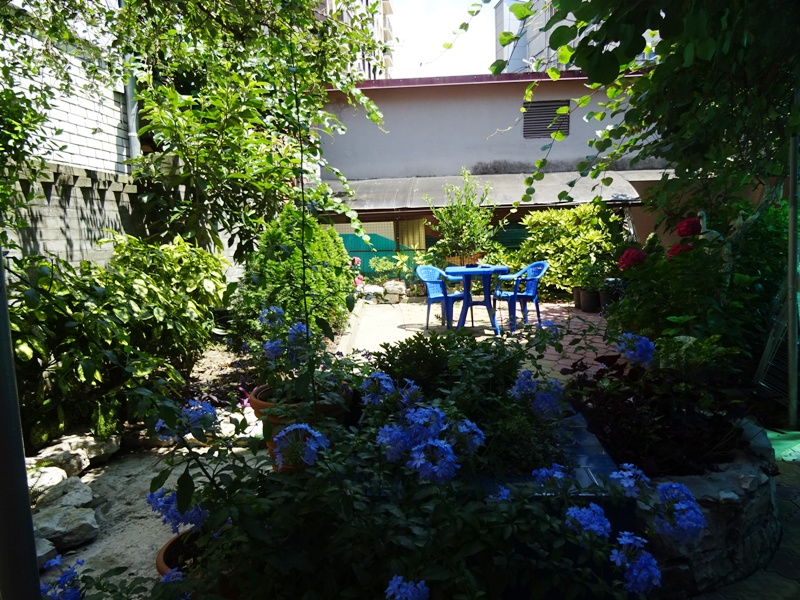 Фото Черномор