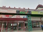 ZооMir (Popova Street, 82), pet shop