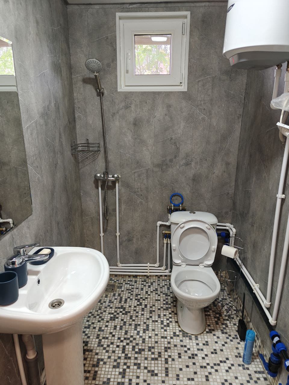 Фото Сосновый берег