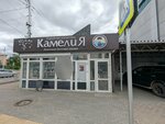 Камелия (Kommunisticheskaya ulitsa, 41А), tienda de artículos para el hogar y productos químicos domésticos