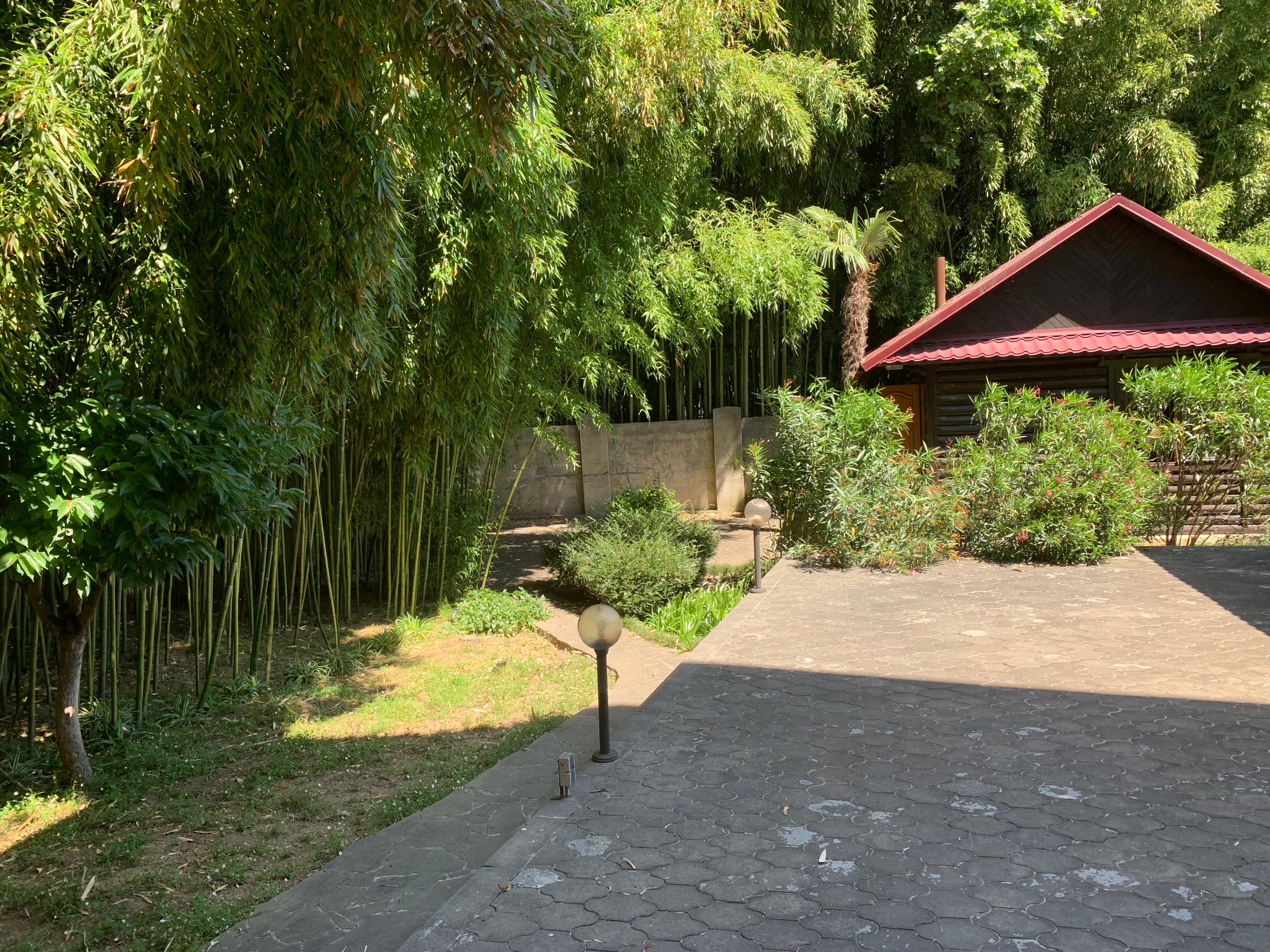 Фото Бамбуковый рай