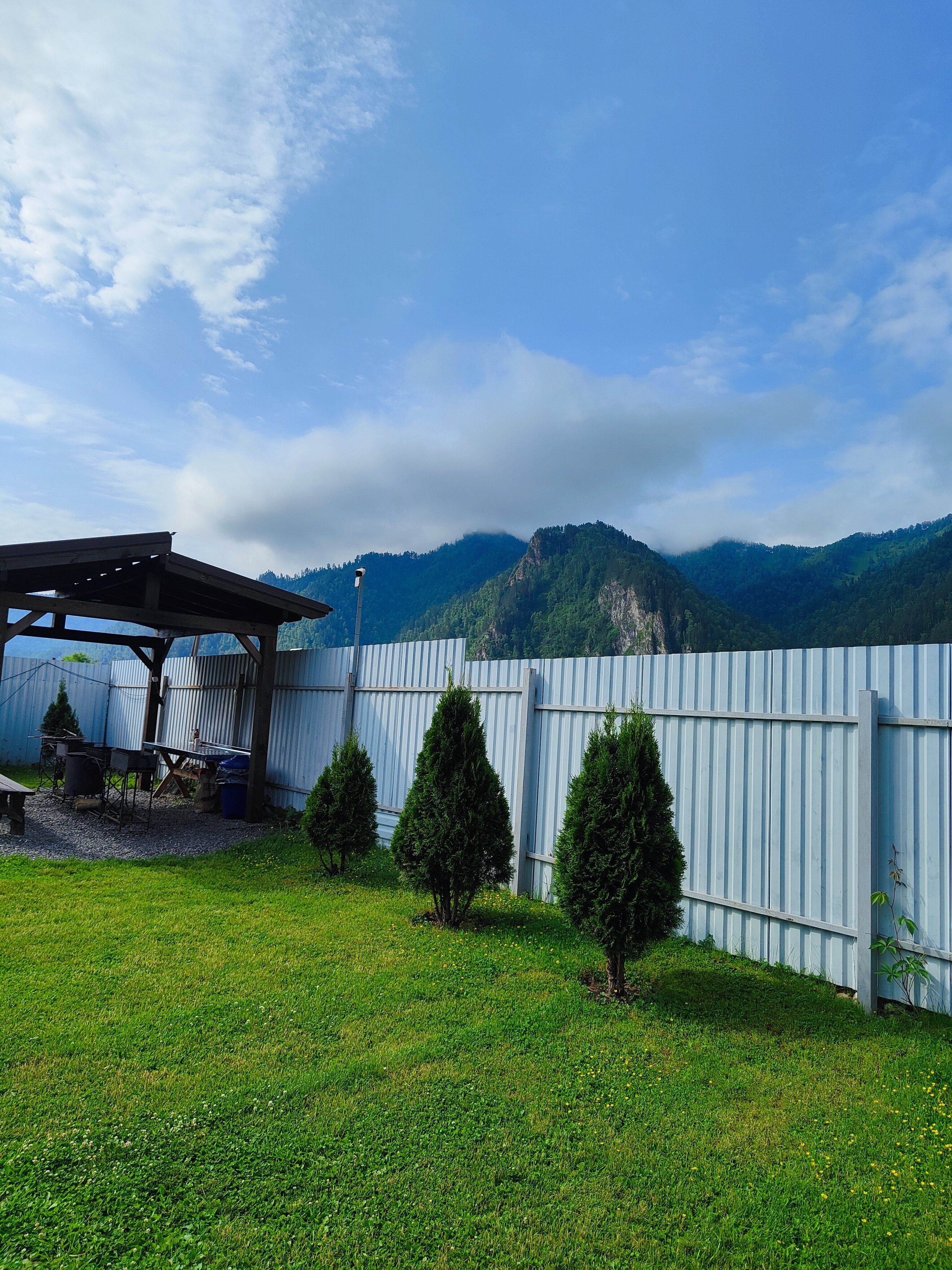 Фото Медведь и Ягодка