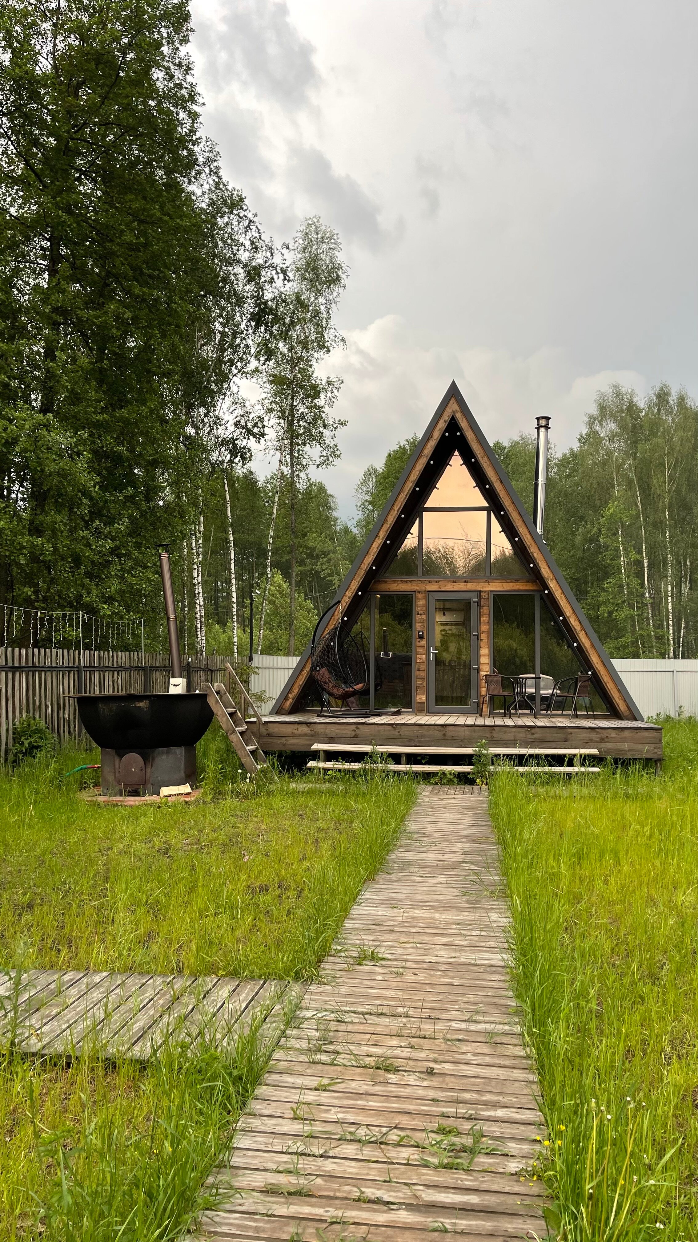 Фото Forest life