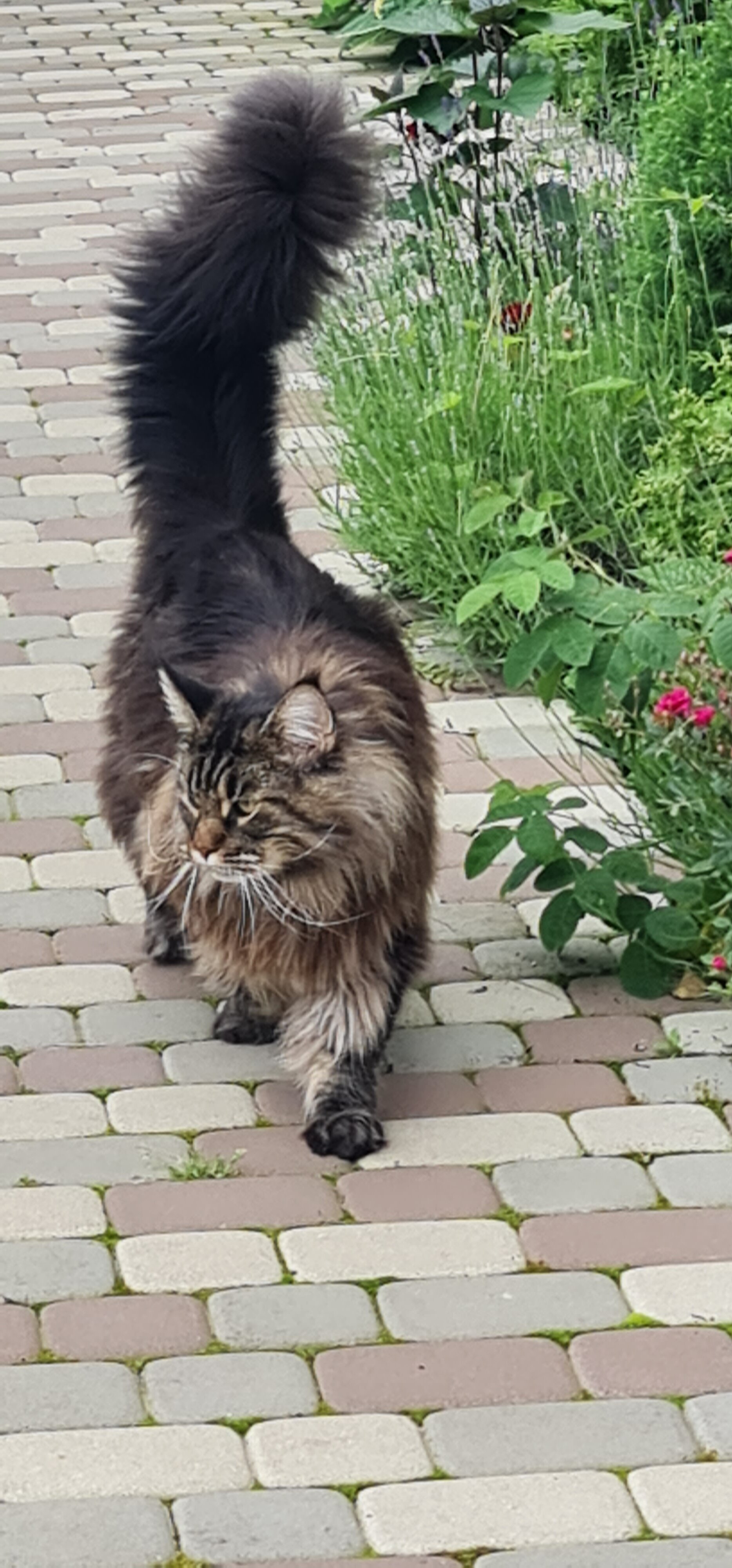 Фото Тихое Счастье