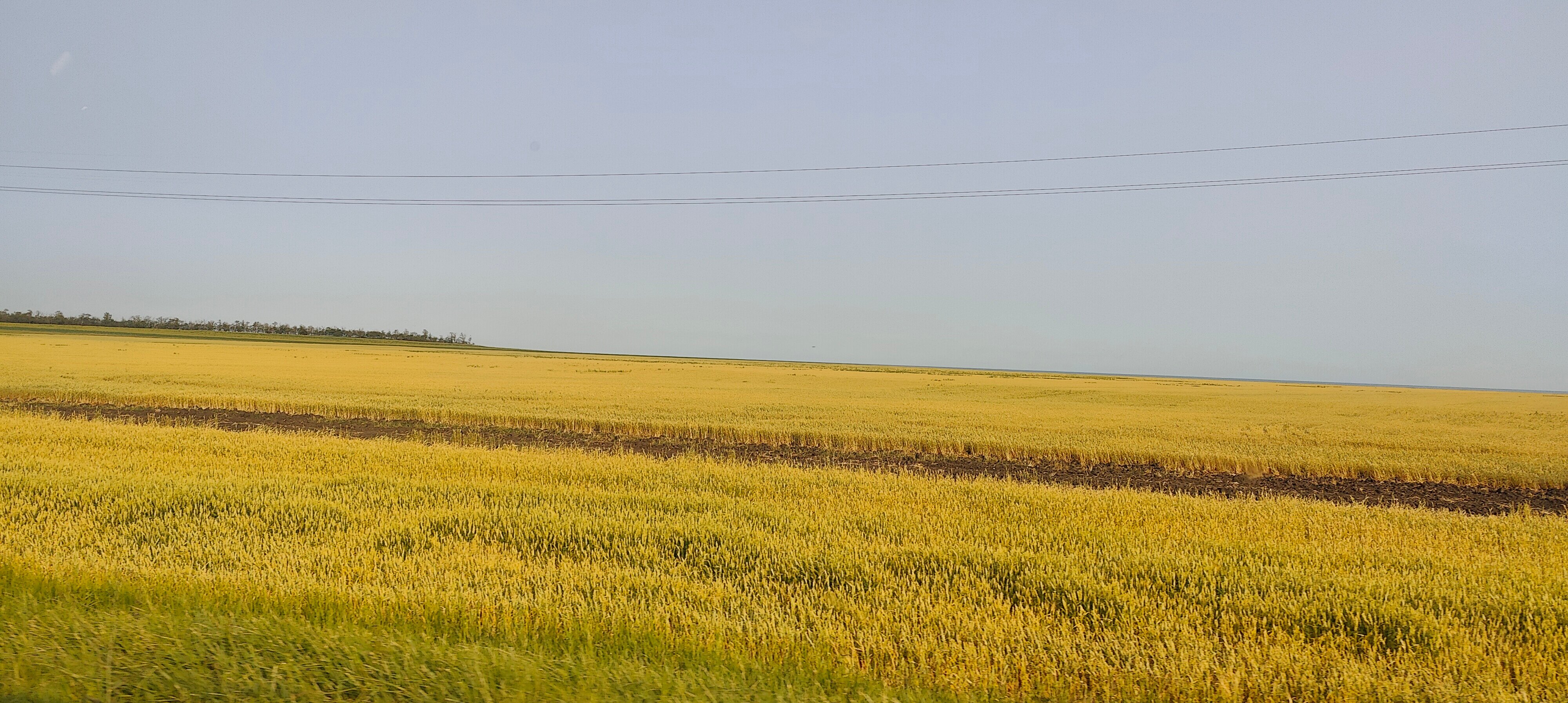 Фото Дом для отдыха на Фрунзе