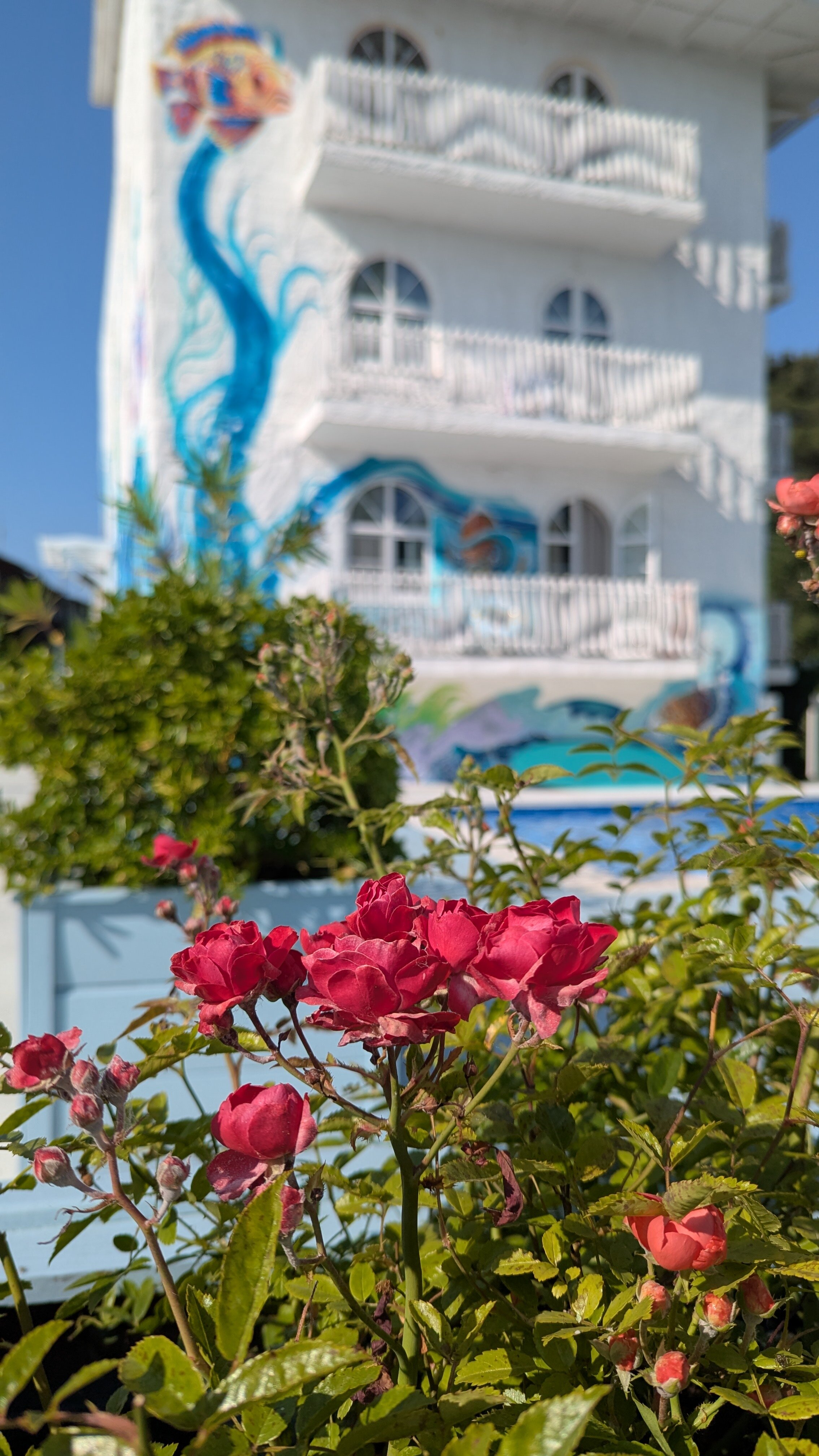 Фото отеля 5