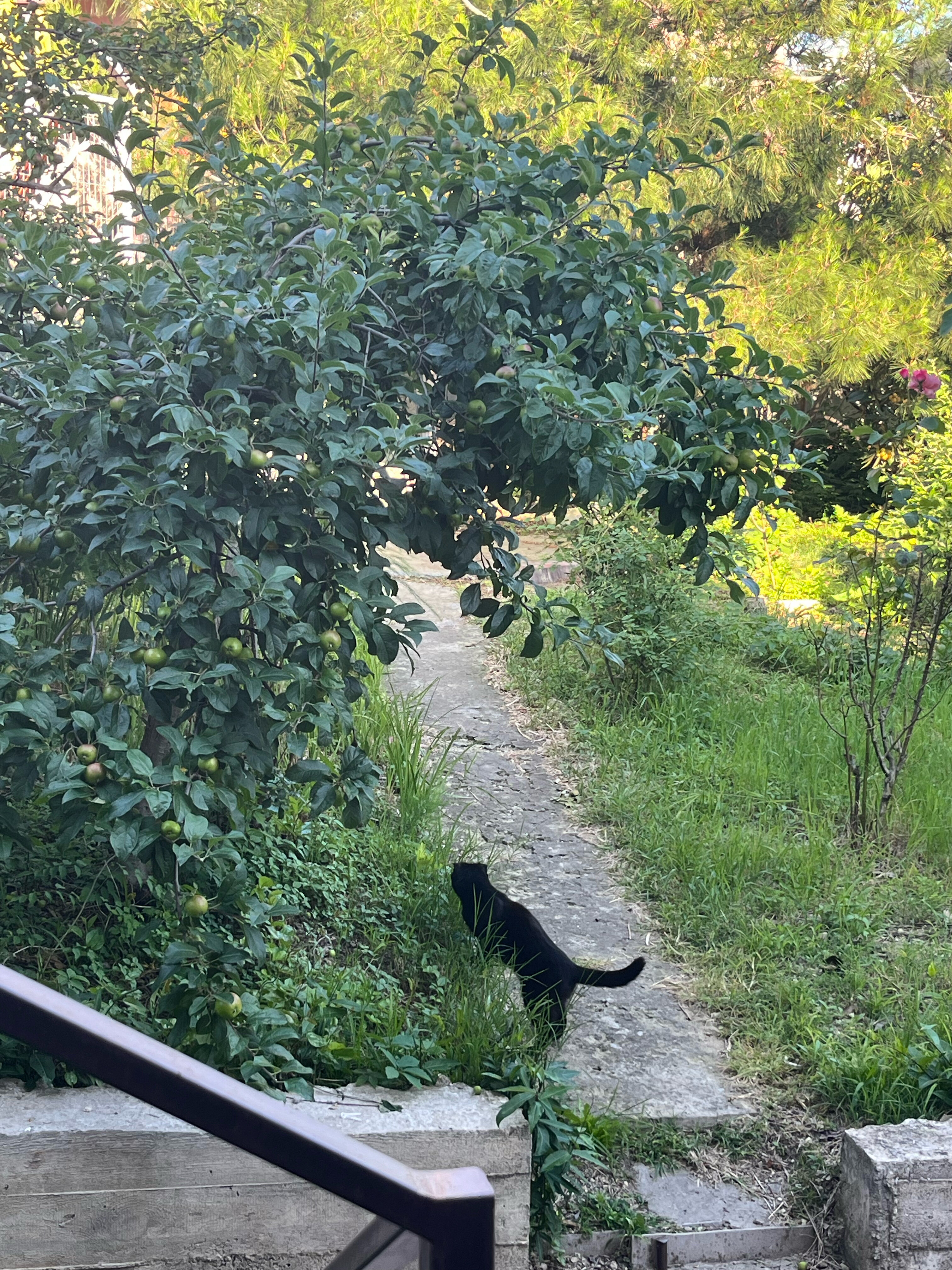 Фото В гостях у Марика