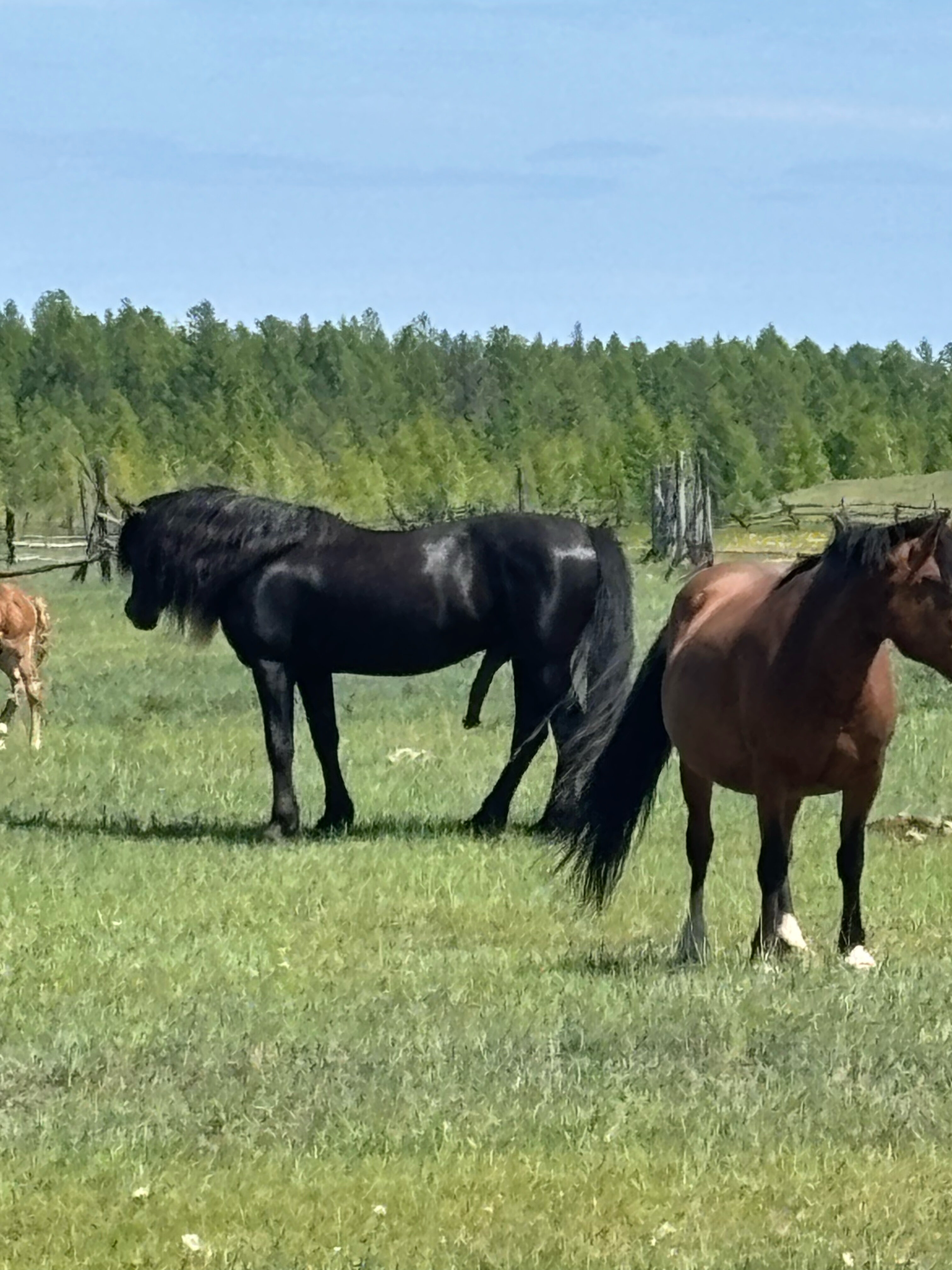 Фото Без паники, мой капитан!